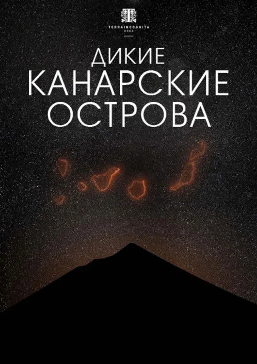 Постер фильма Дикие Канарские острова