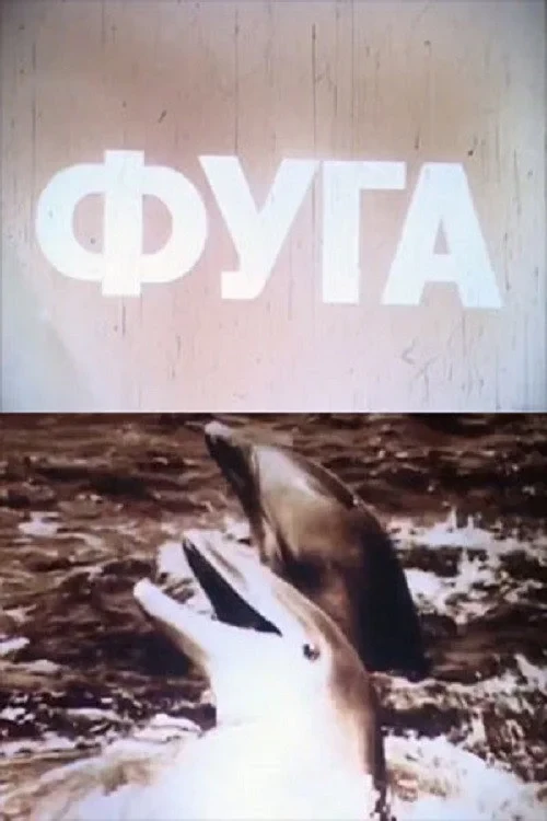 Постер фильма Фуга