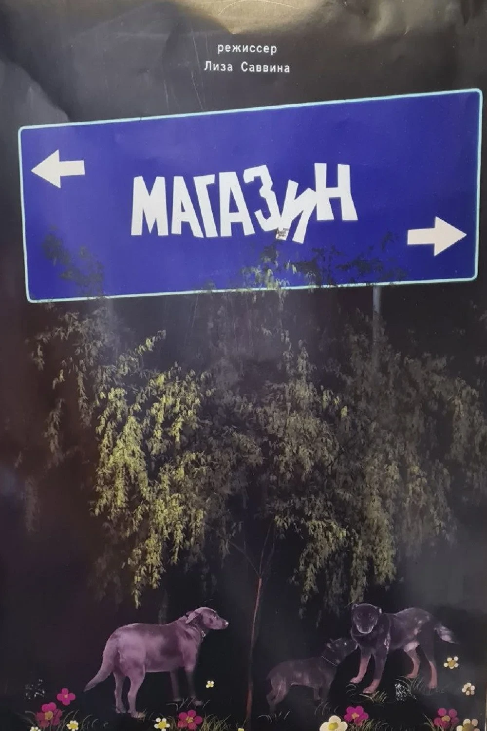 Постер фильма Магазин