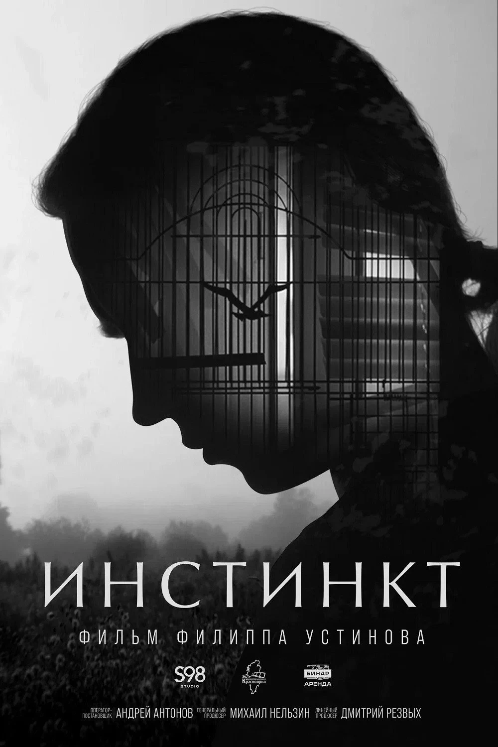 Постер фильма Инстинкт