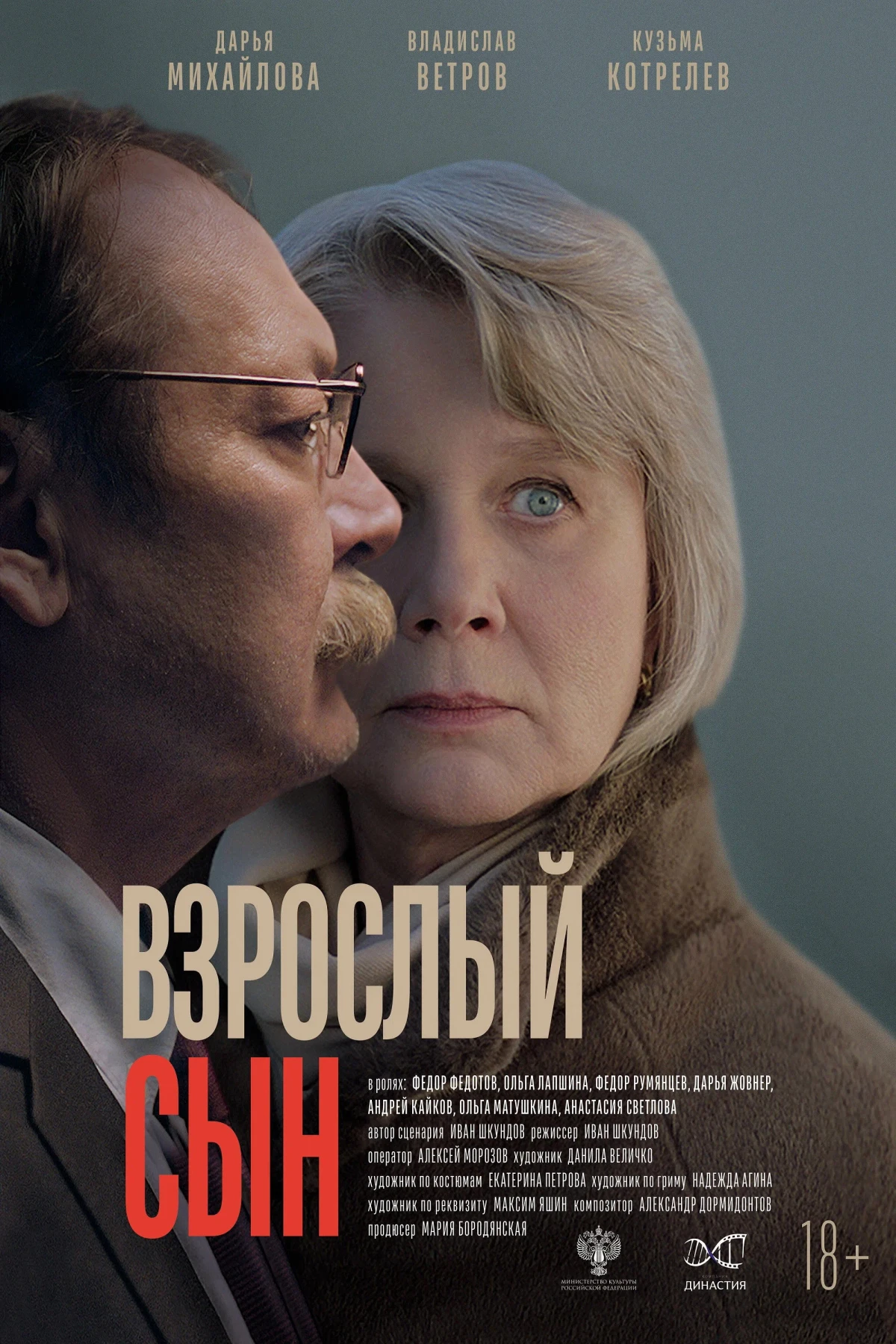 Постер фильма Взрослый сын