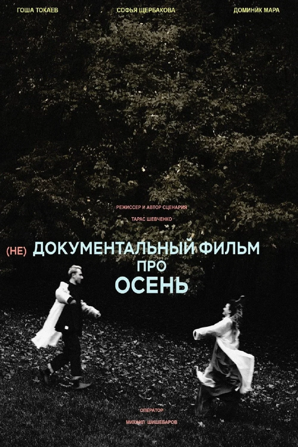 Постер фильма (не)Документальный фильм про осень