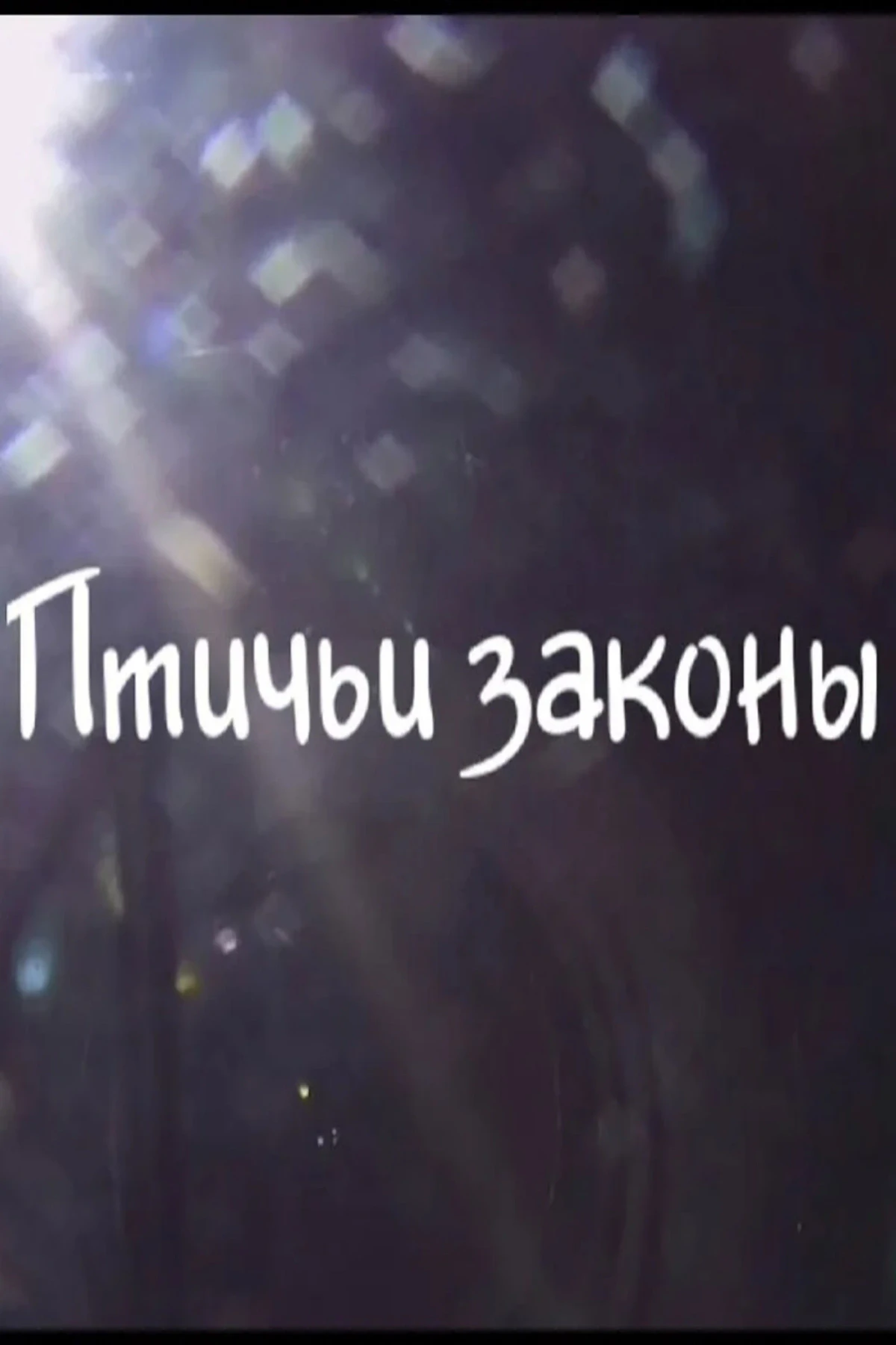Постер фильма Птичьи законы
