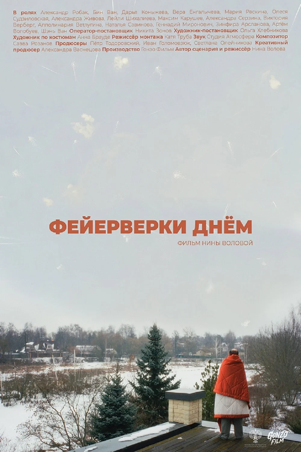 Постер фильма Фейерверки днём