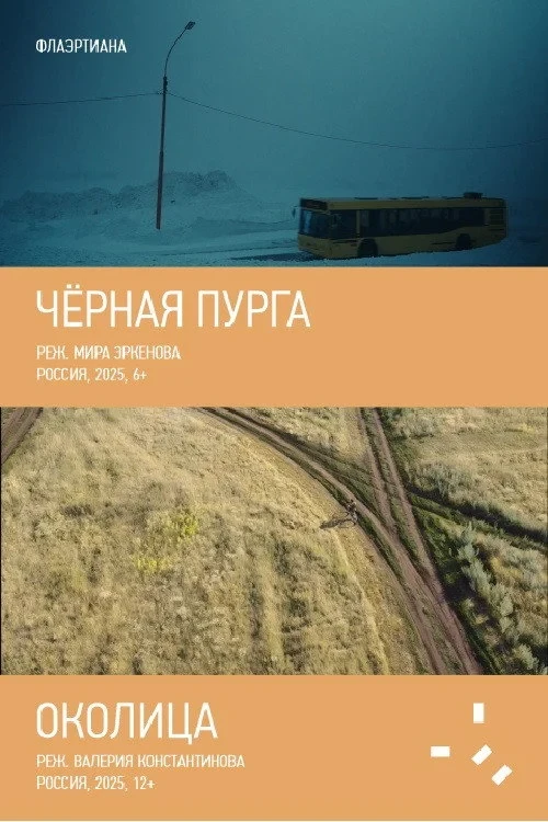 Постер фильма Чёрная пурга