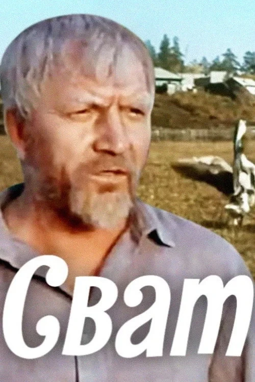 Постер фильма Сват