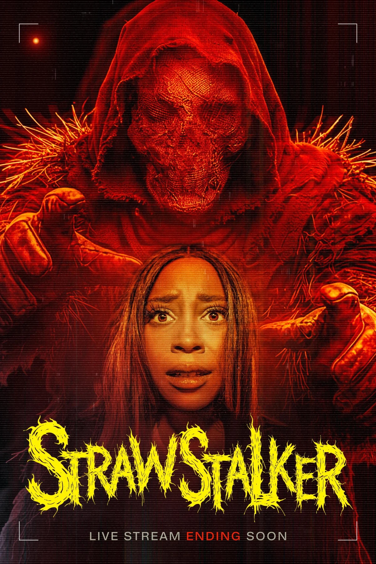 Постер фильма Strawstalker