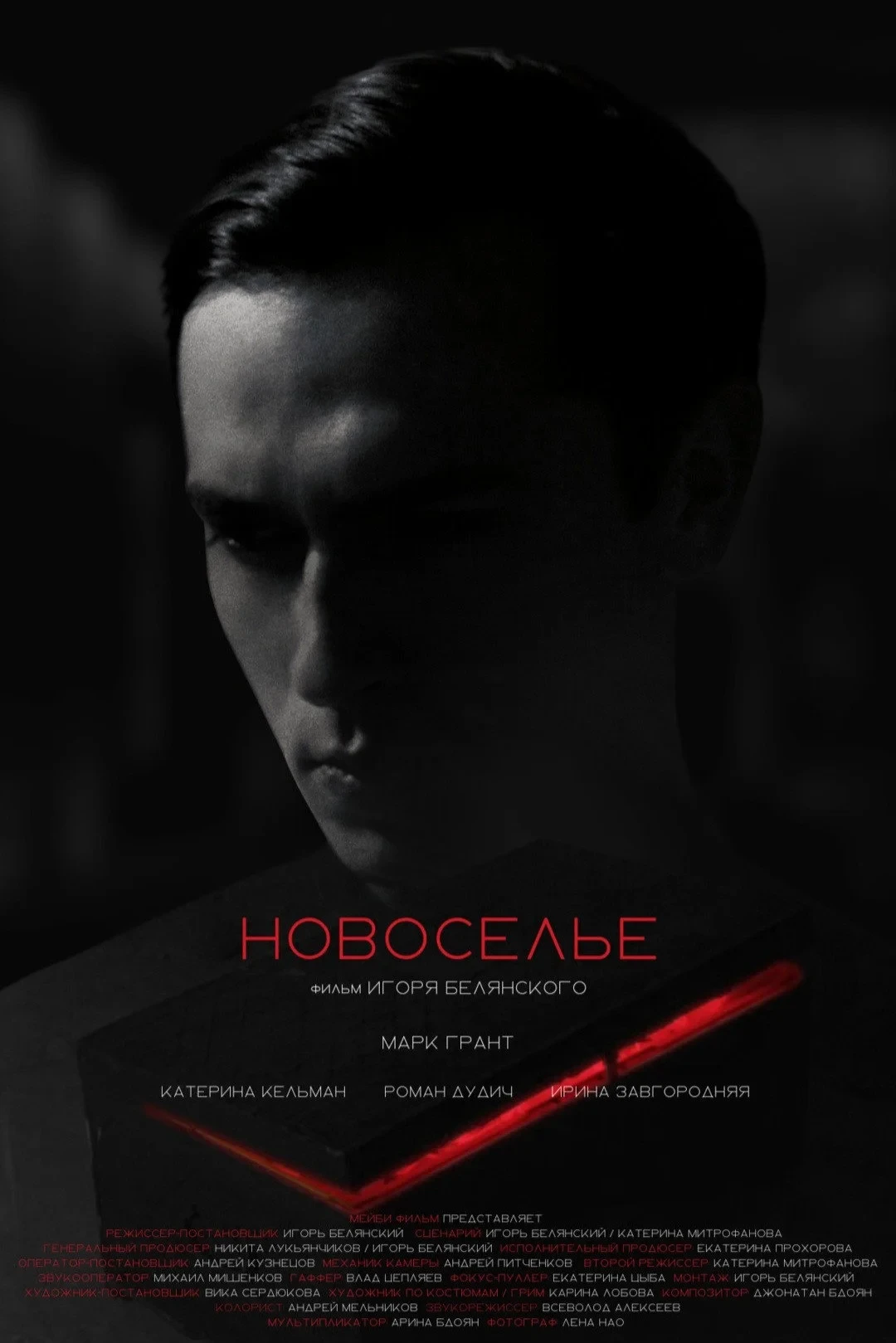 Постер фильма Новоселье