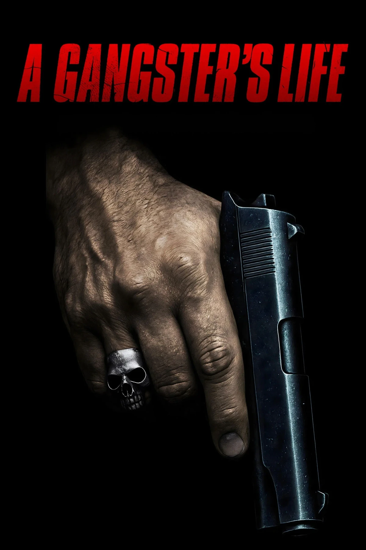Постер фильма A Gangster's Life