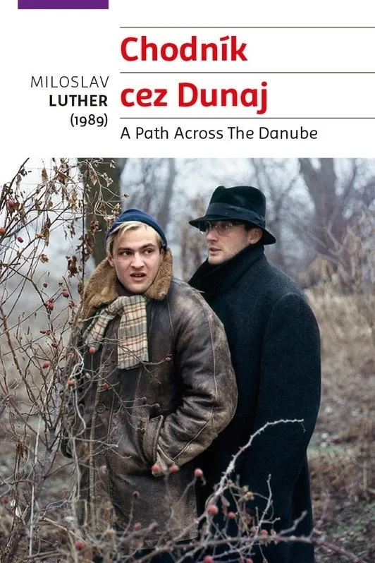 Постер фильма Путь через Дунай
