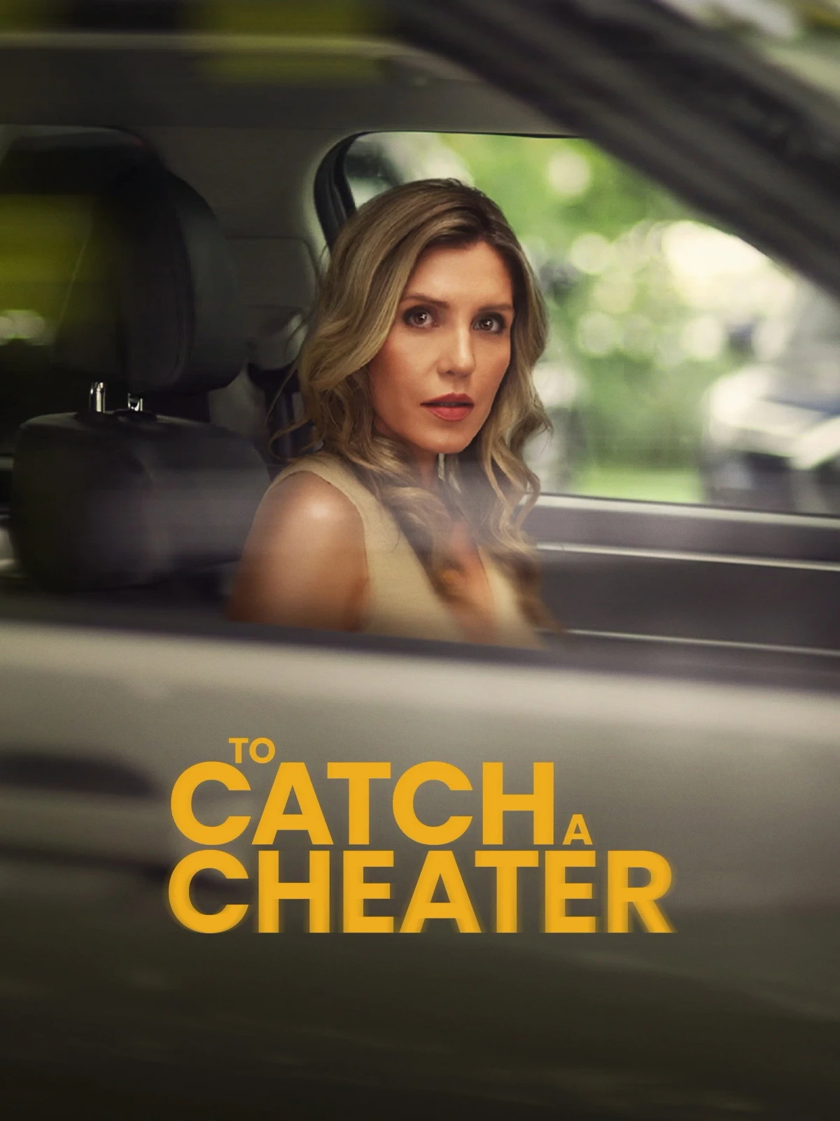 Постер фильма To Catch a Cheater