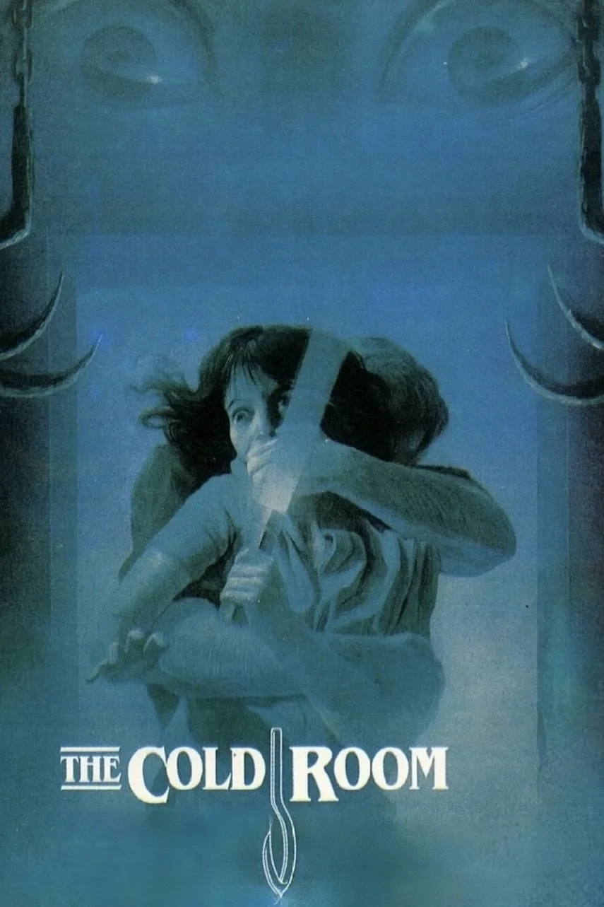 Постер фильма Комната страха