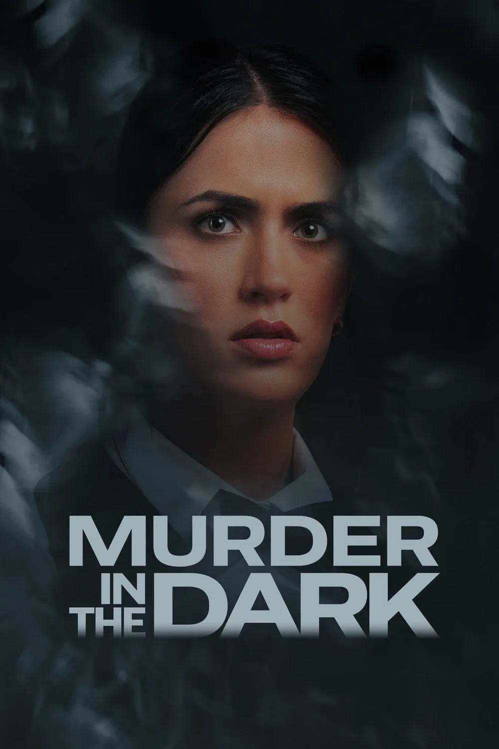 Постер фильма Murder in the Dark