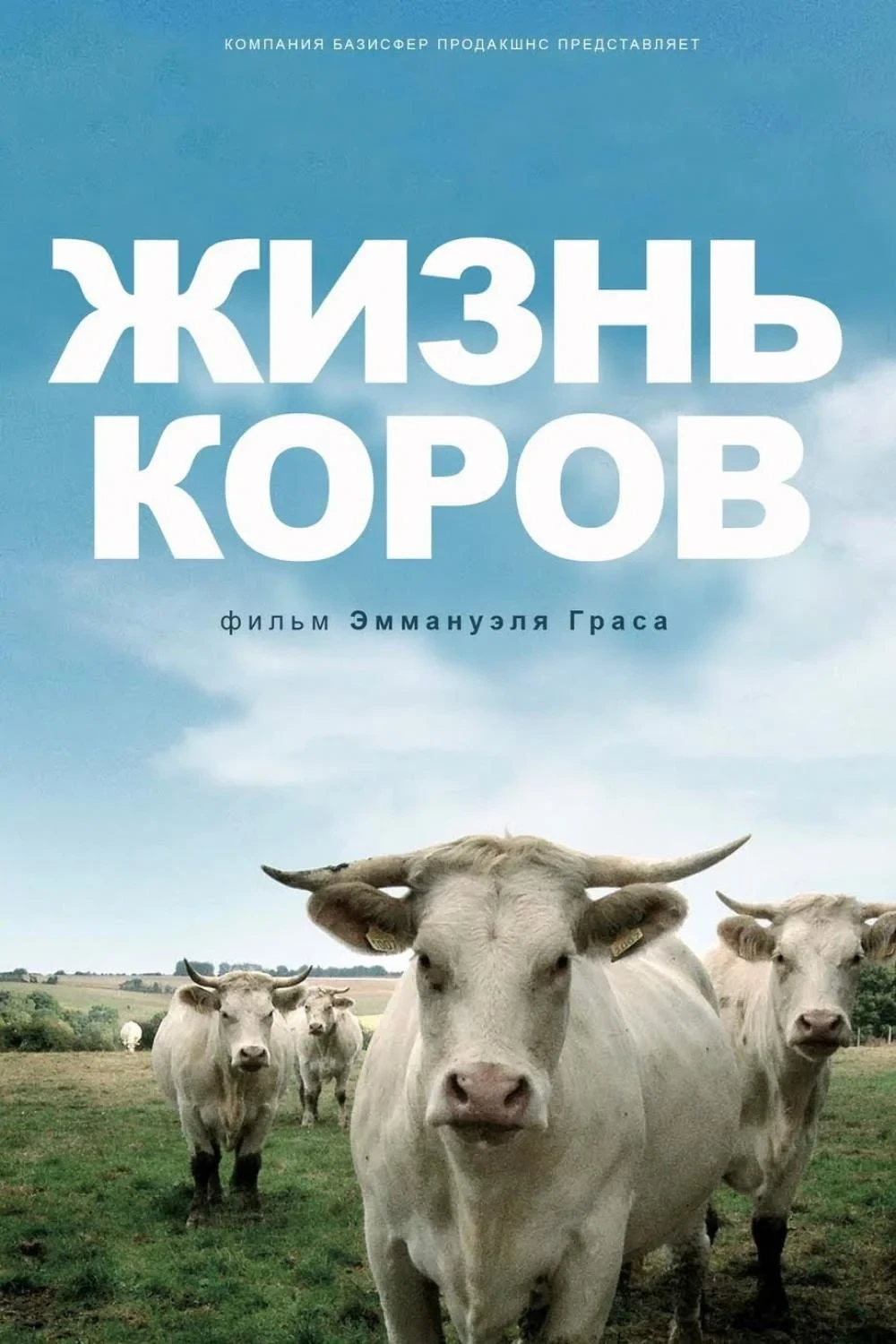 Постер фильма Жизнь коров