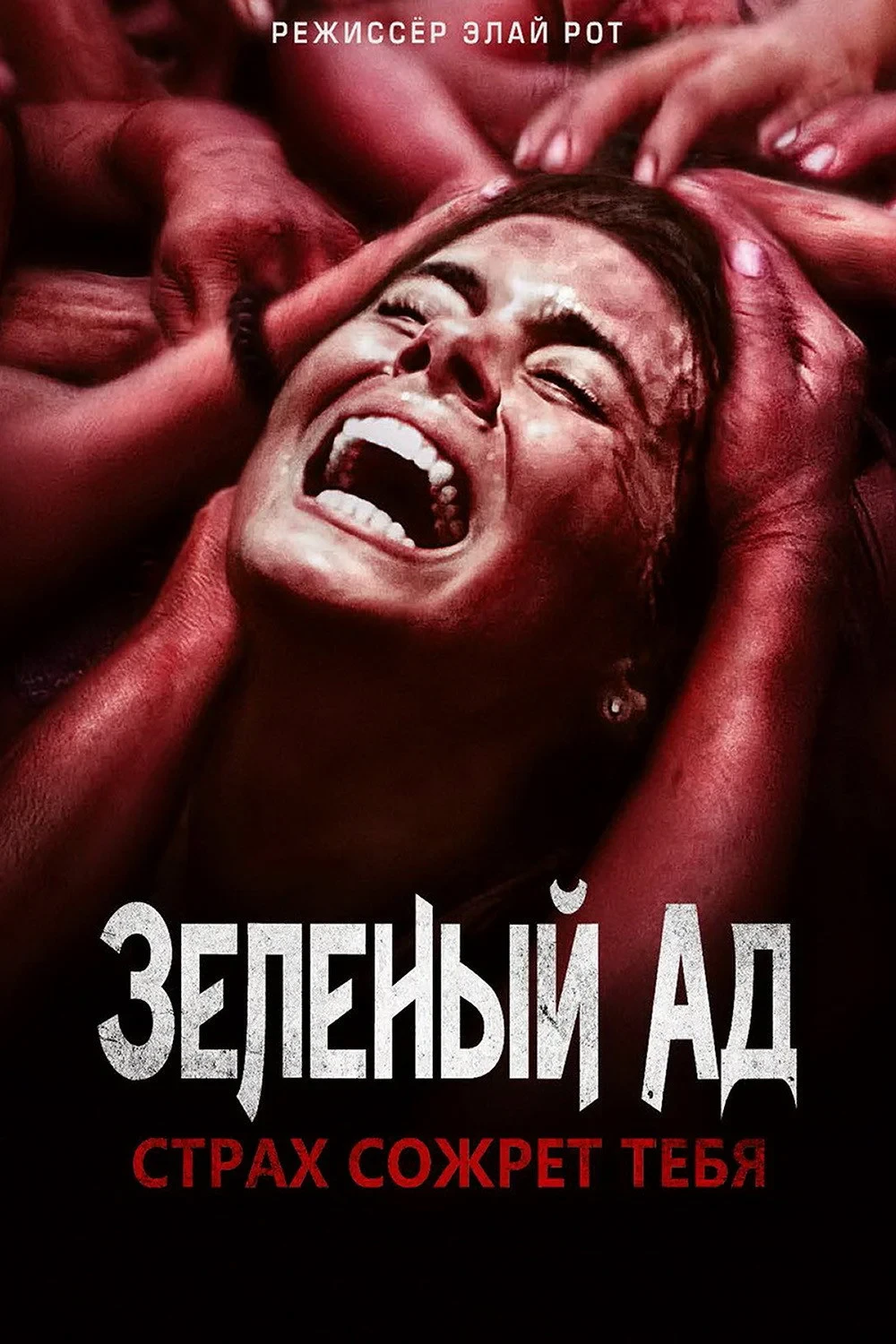 Постер фильма Зелёный ад