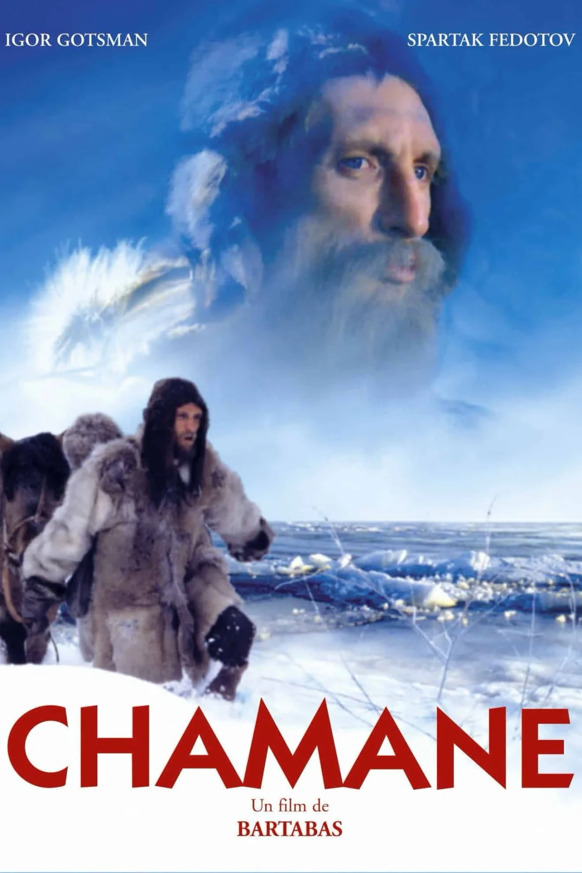 Постер фильма Шаман