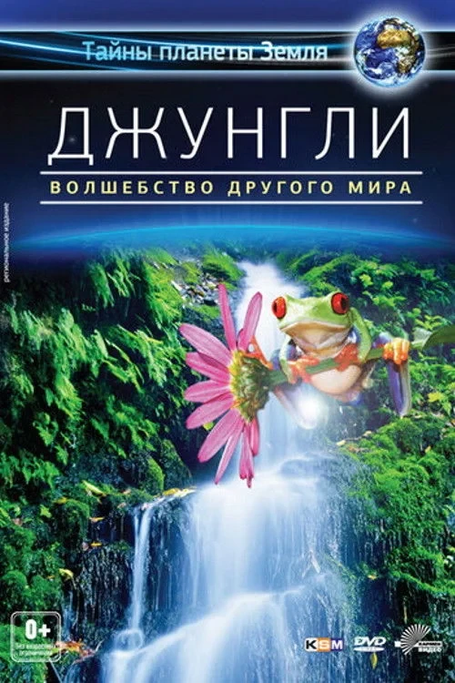 Постер фильма Джунгли: волшебство другого мира