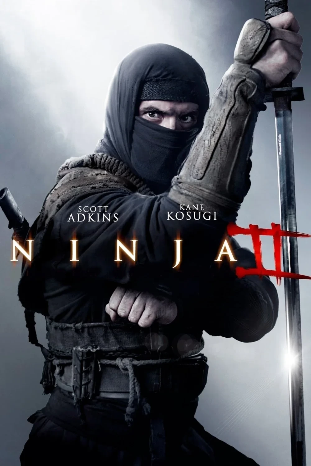Постер фильма Ниндзя 2