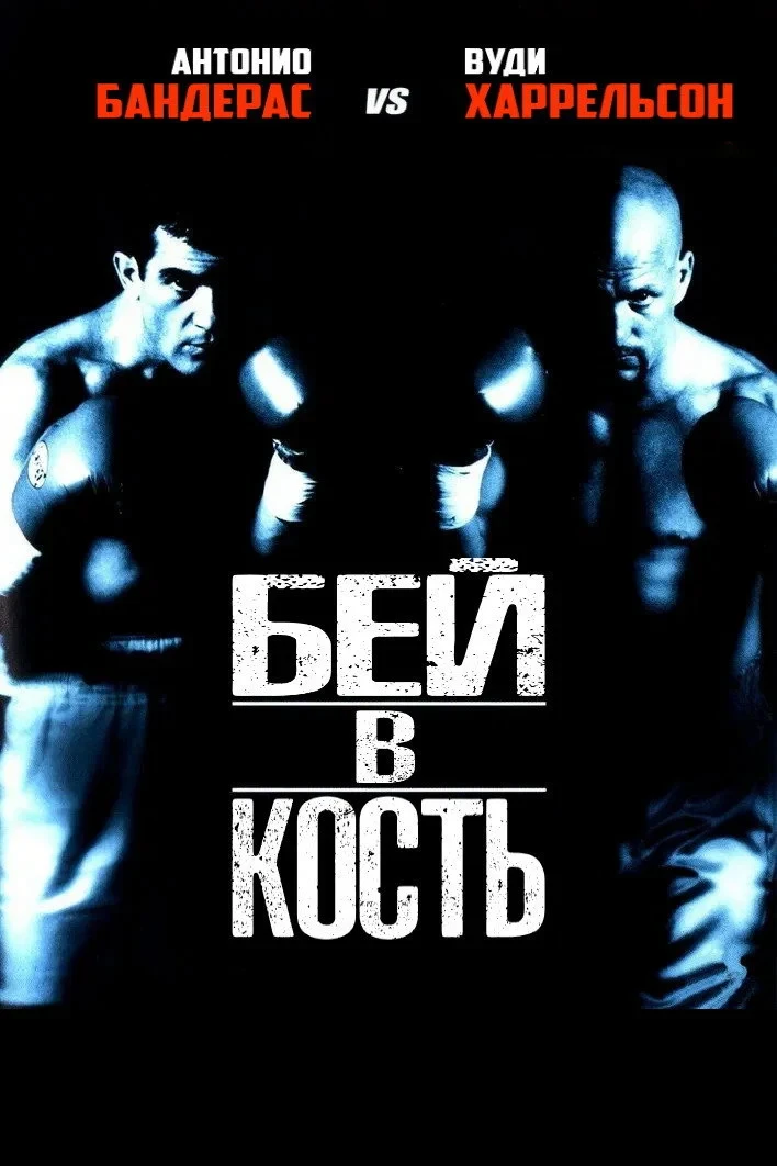 Постер фильма Бей в кость