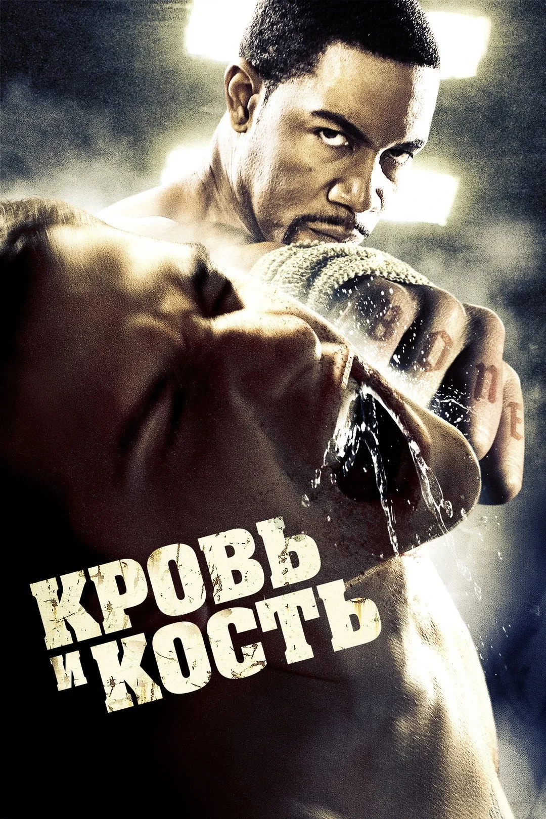 Постер фильма Кровь и кость