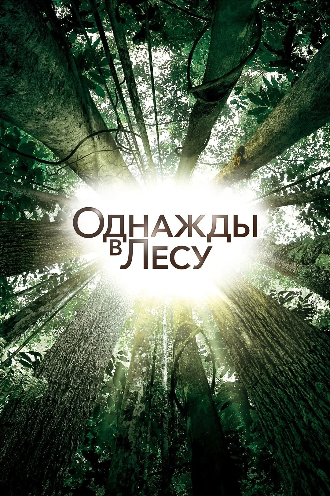 Постер фильма Однажды в лесу