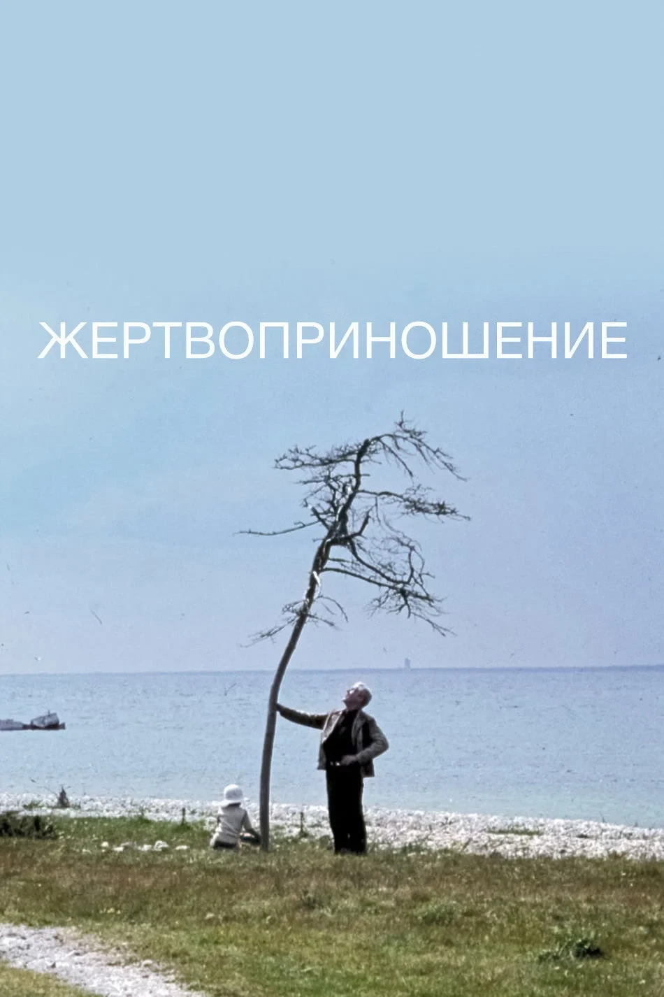 Постер фильма Жертвоприношение