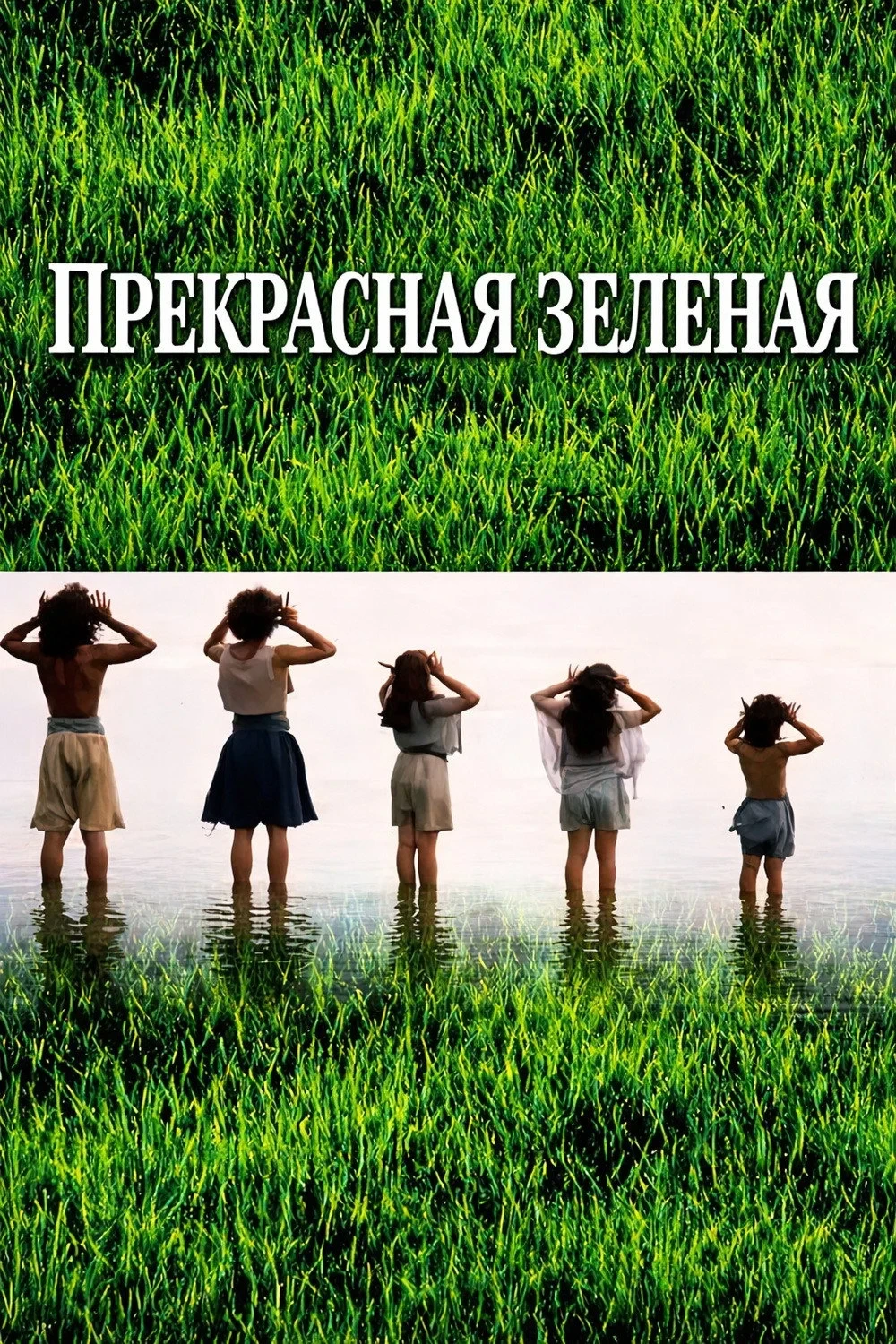 Постер фильма Прекрасная зелёная