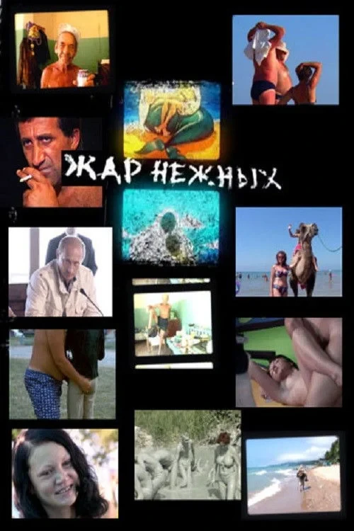 Постер фильма Жар нежных. Дикий дикий пляж