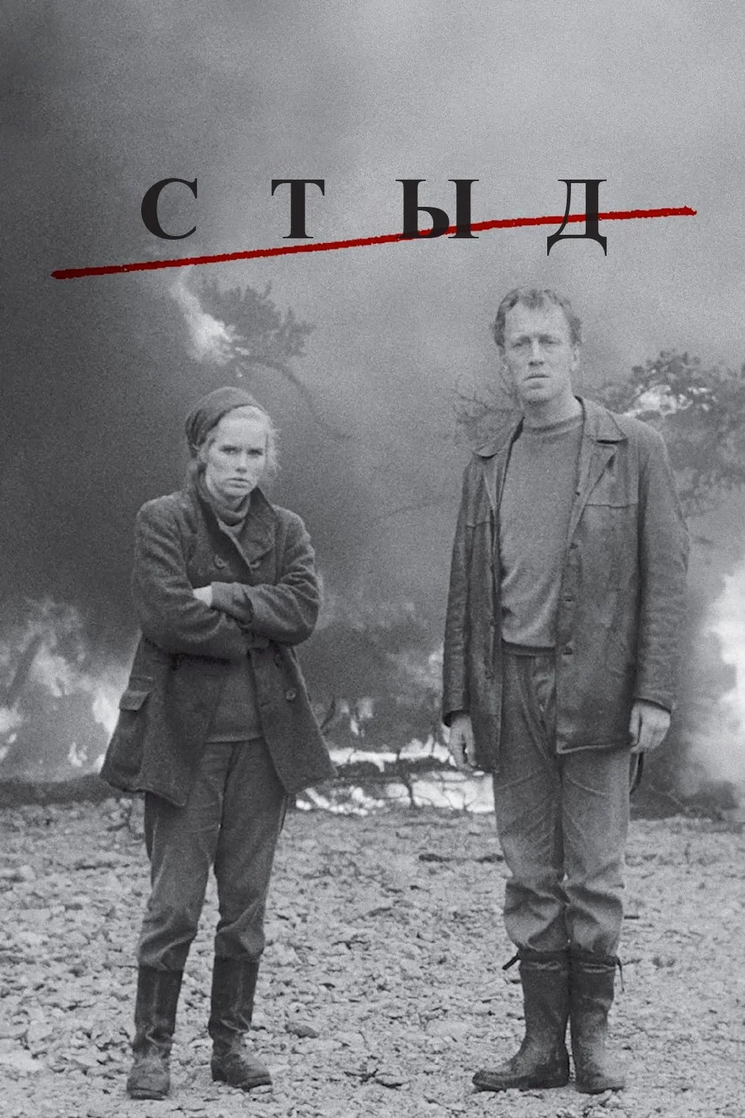 Постер фильма Стыд
