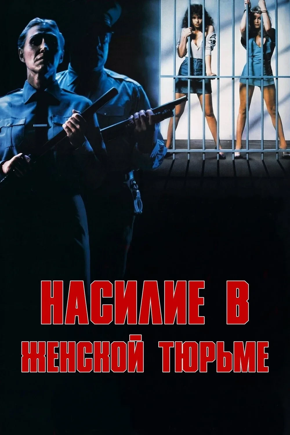 Постер фильма Насилие в женской тюрьме