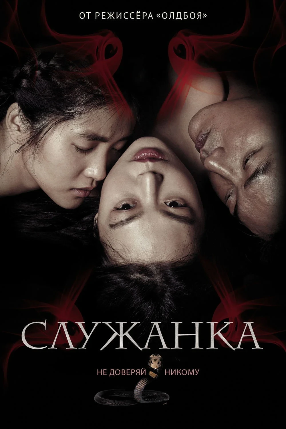 Постер фильма Служанка