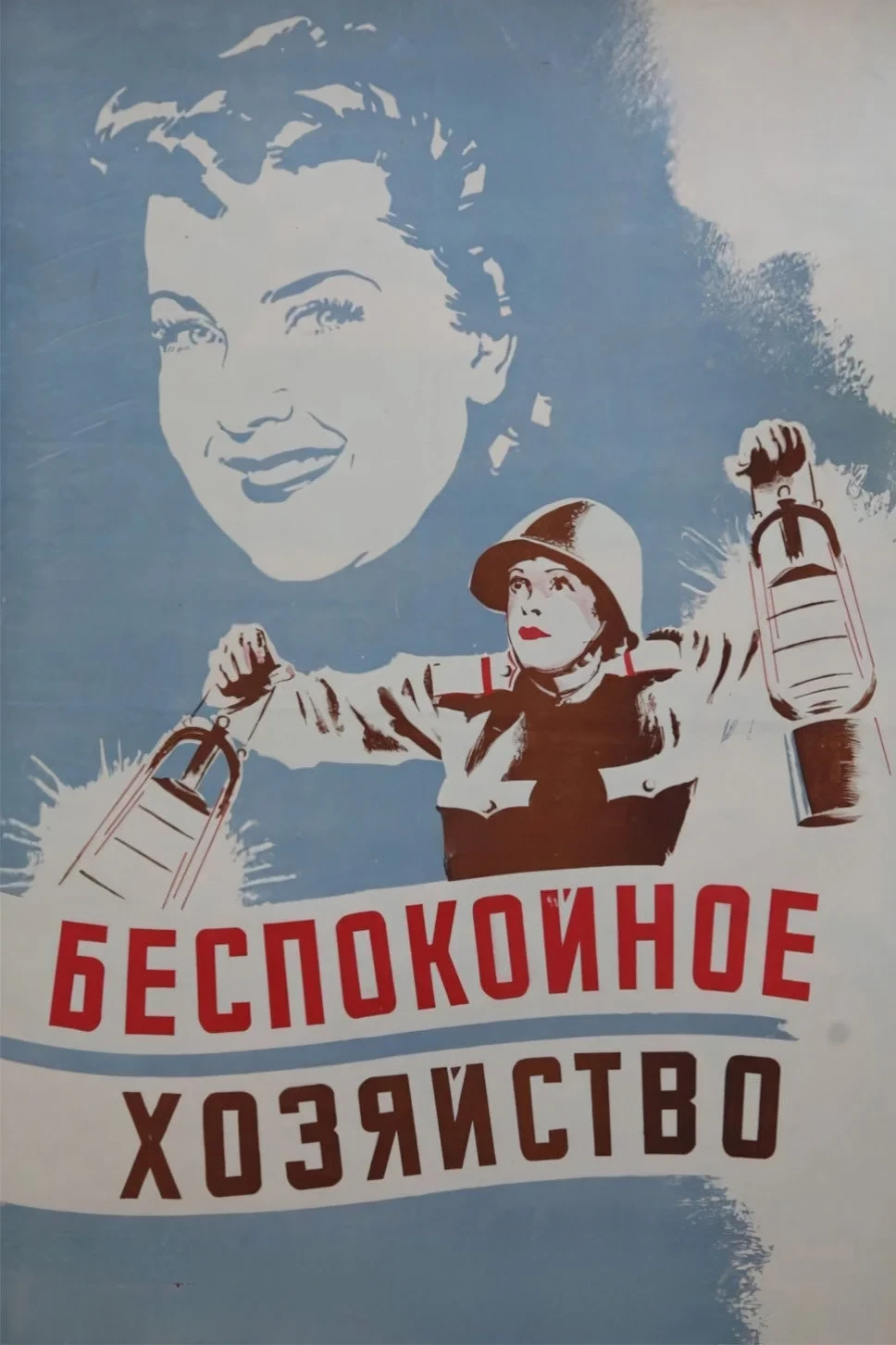 Постер фильма Беспокойное хозяйство