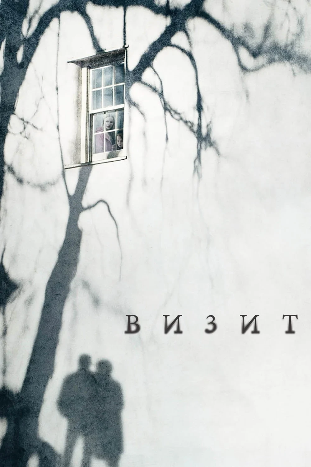 Постер фильма Визит