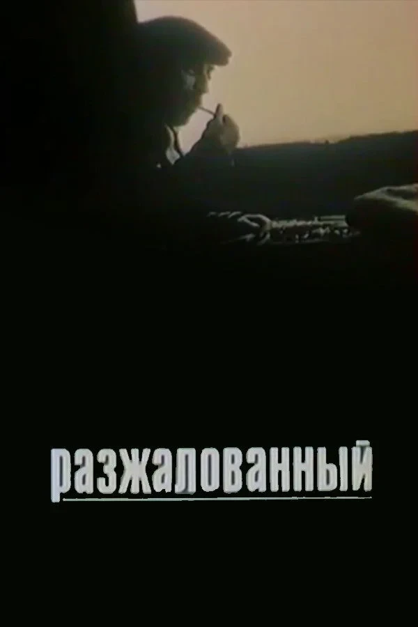Постер фильма Разжалованный