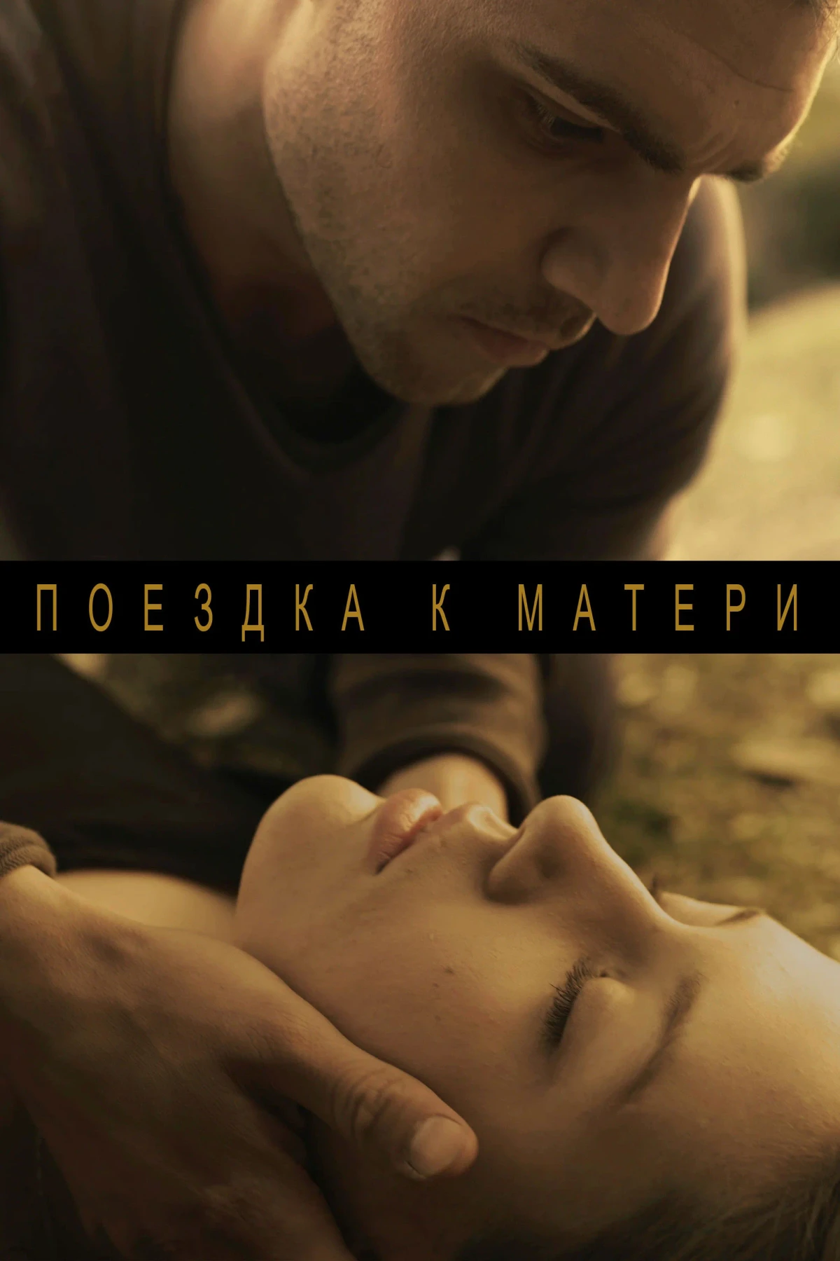 Постер фильма Поездка к матери