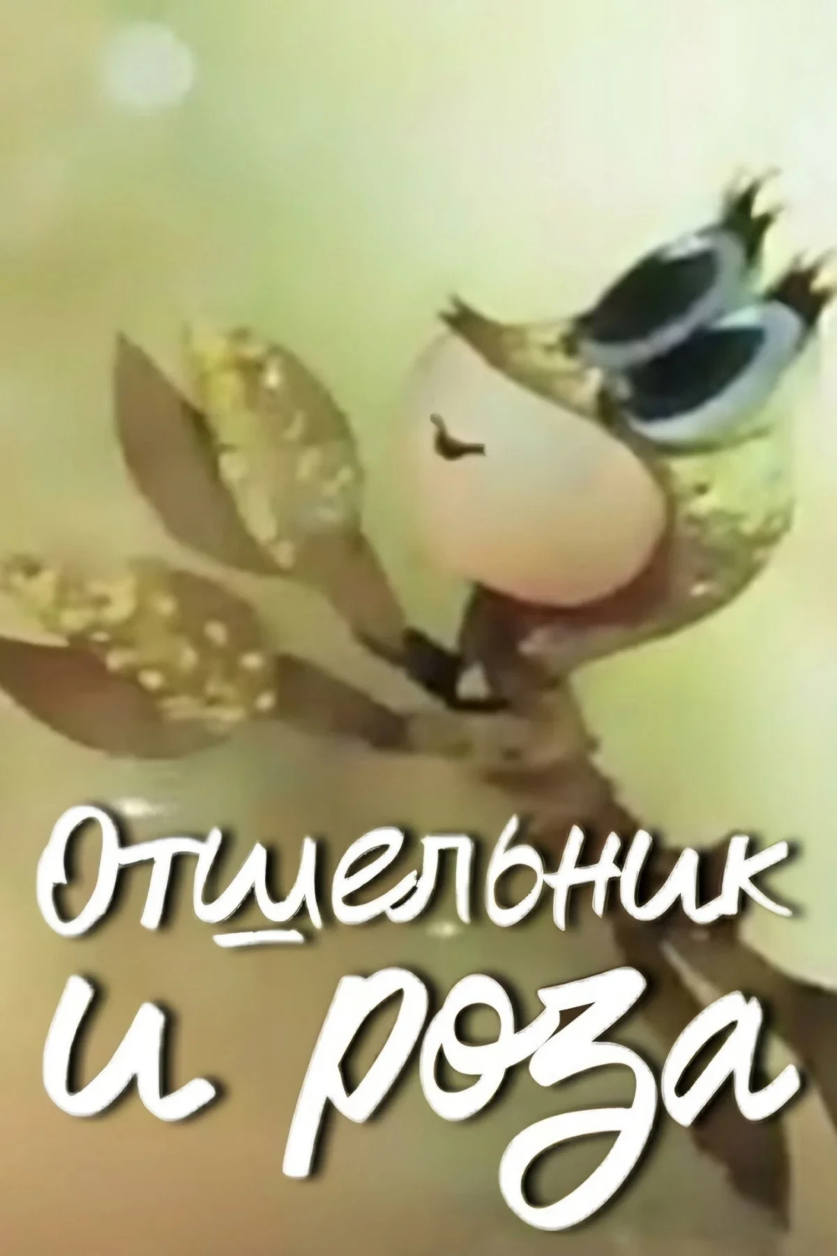 Постер фильма Отшельник и роза