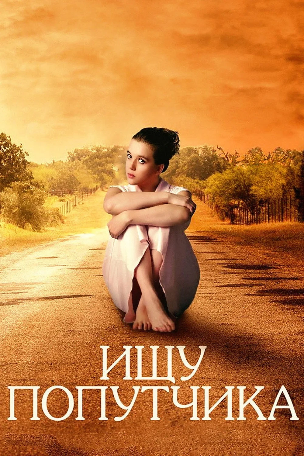 Постер фильма Ищу попутчика