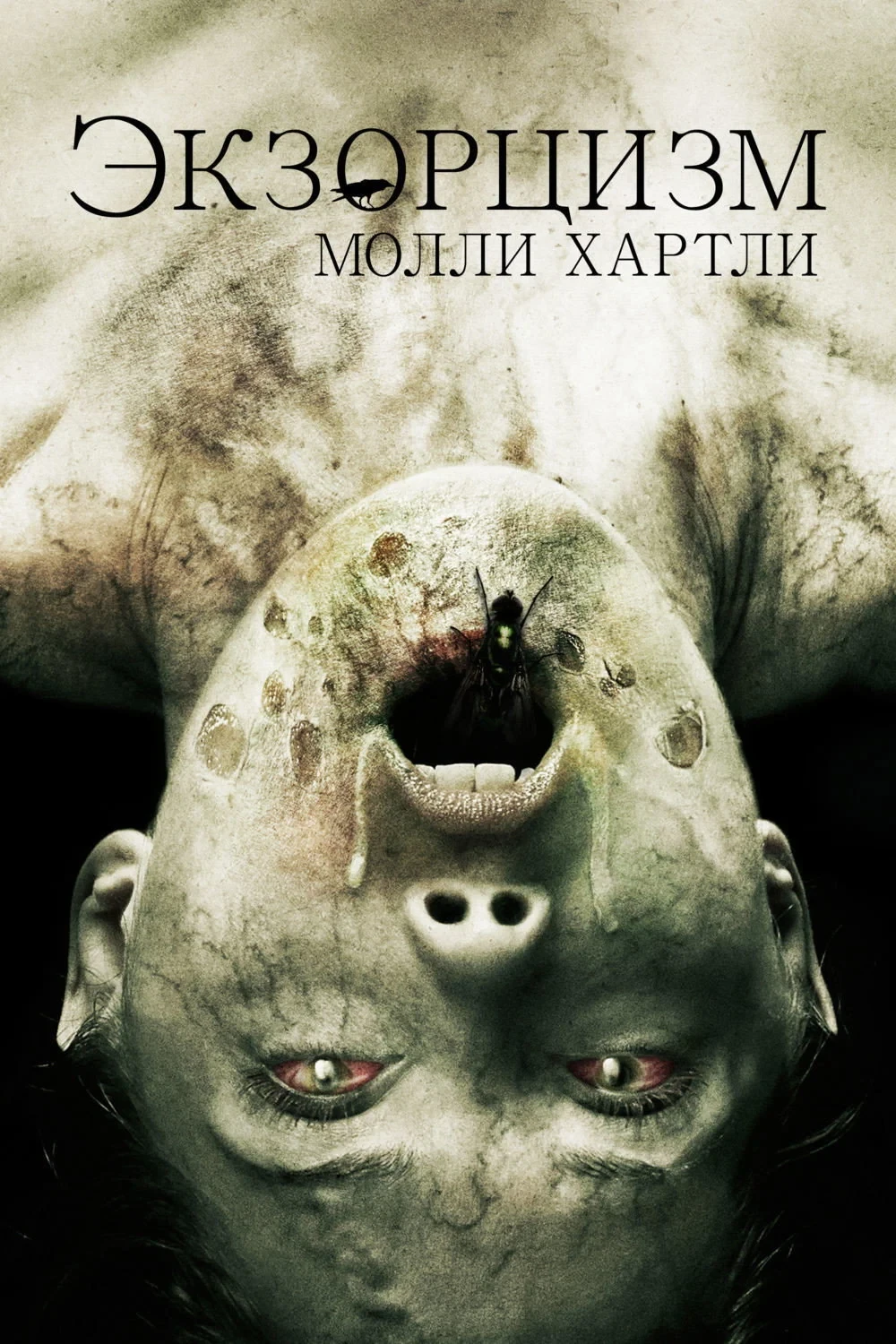 Постер фильма Экзорцизм Молли Хартли