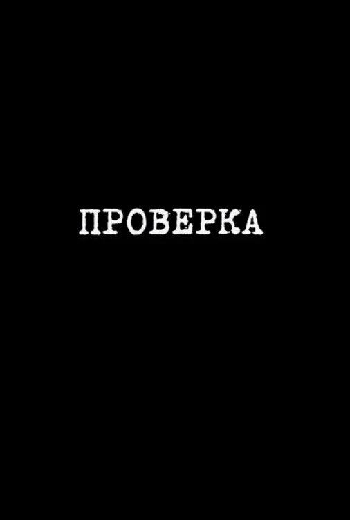 Постер фильма Проверка