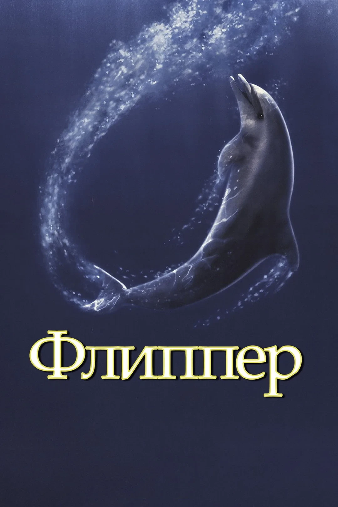 Постер фильма Флиппер