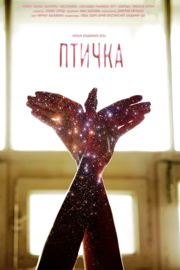 Постер фильма Птичка