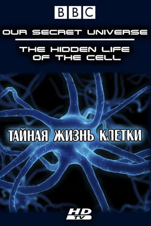 Постер фильма Внутренняя вселенная: Тайная жизнь клетки