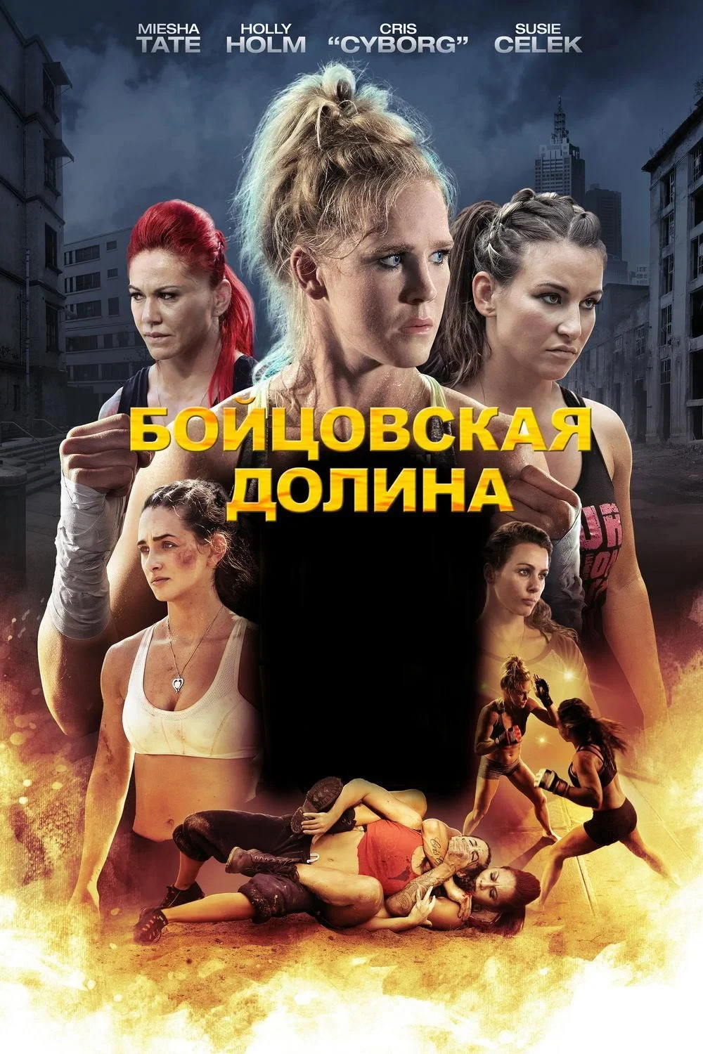 Постер фильма Бойцовская долина