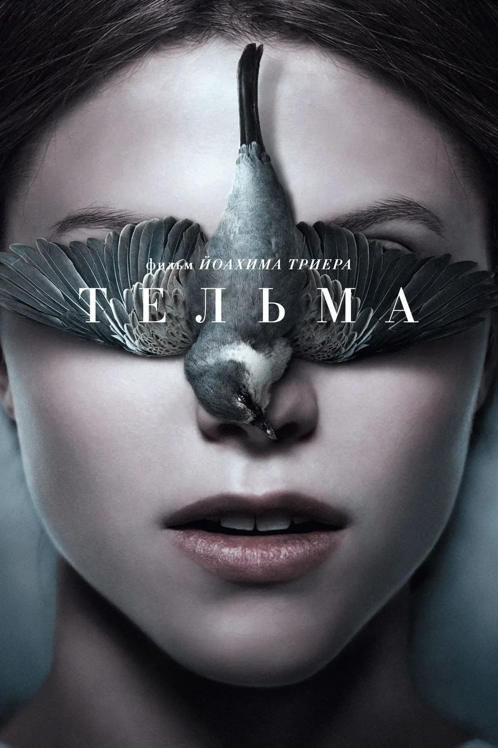 Постер фильма Тельма