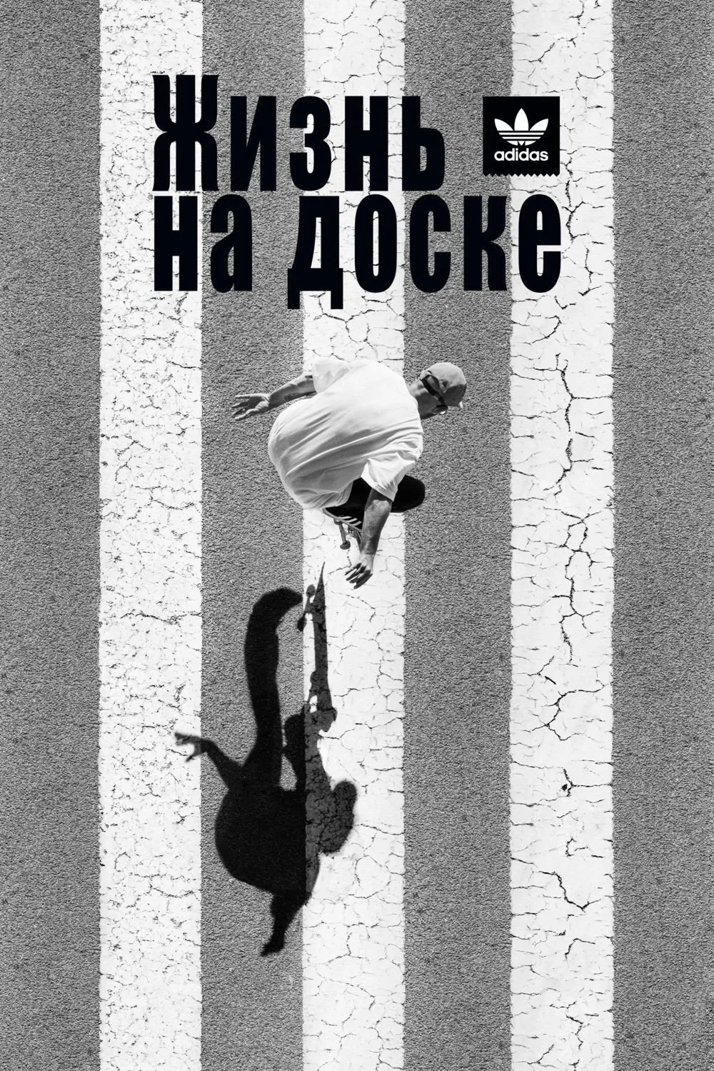 Постер фильма Жизнь на доске