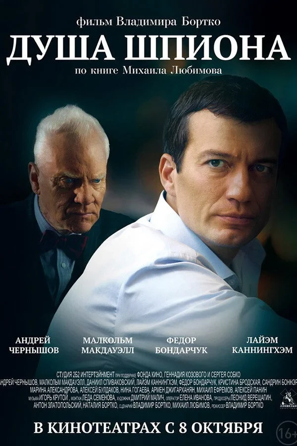 Постер фильма Душа шпиона