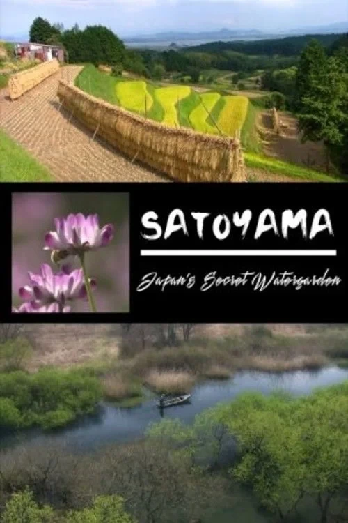 Постер фильма Сатояма
