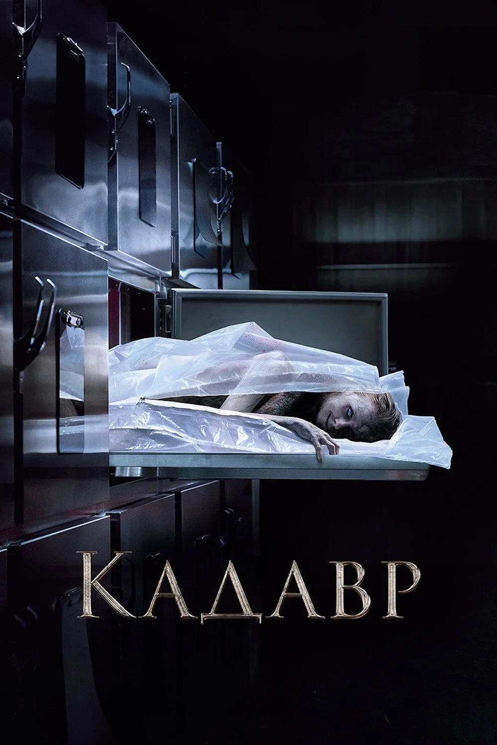 Постер фильма Кадавр