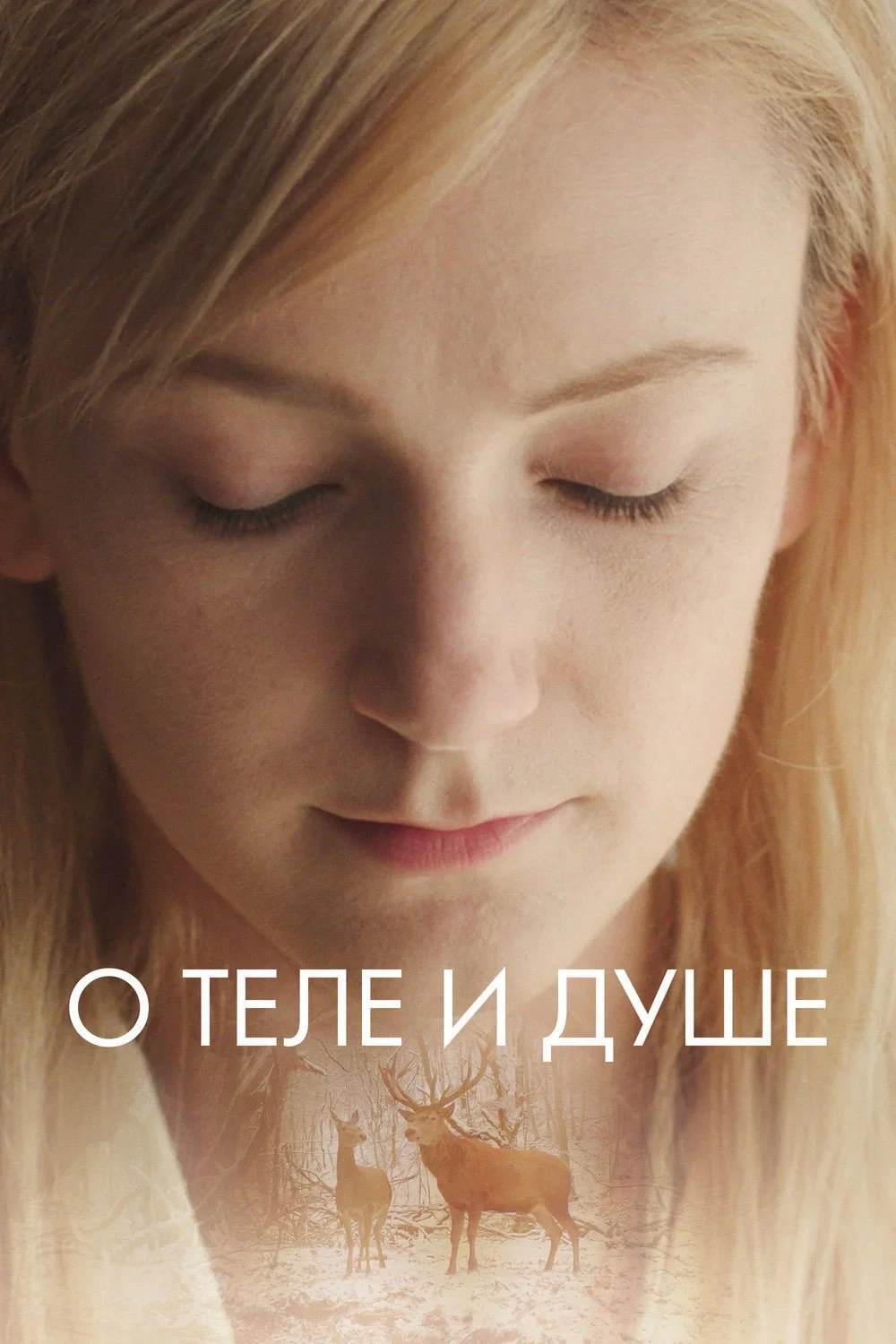 Постер фильма О теле и душе
