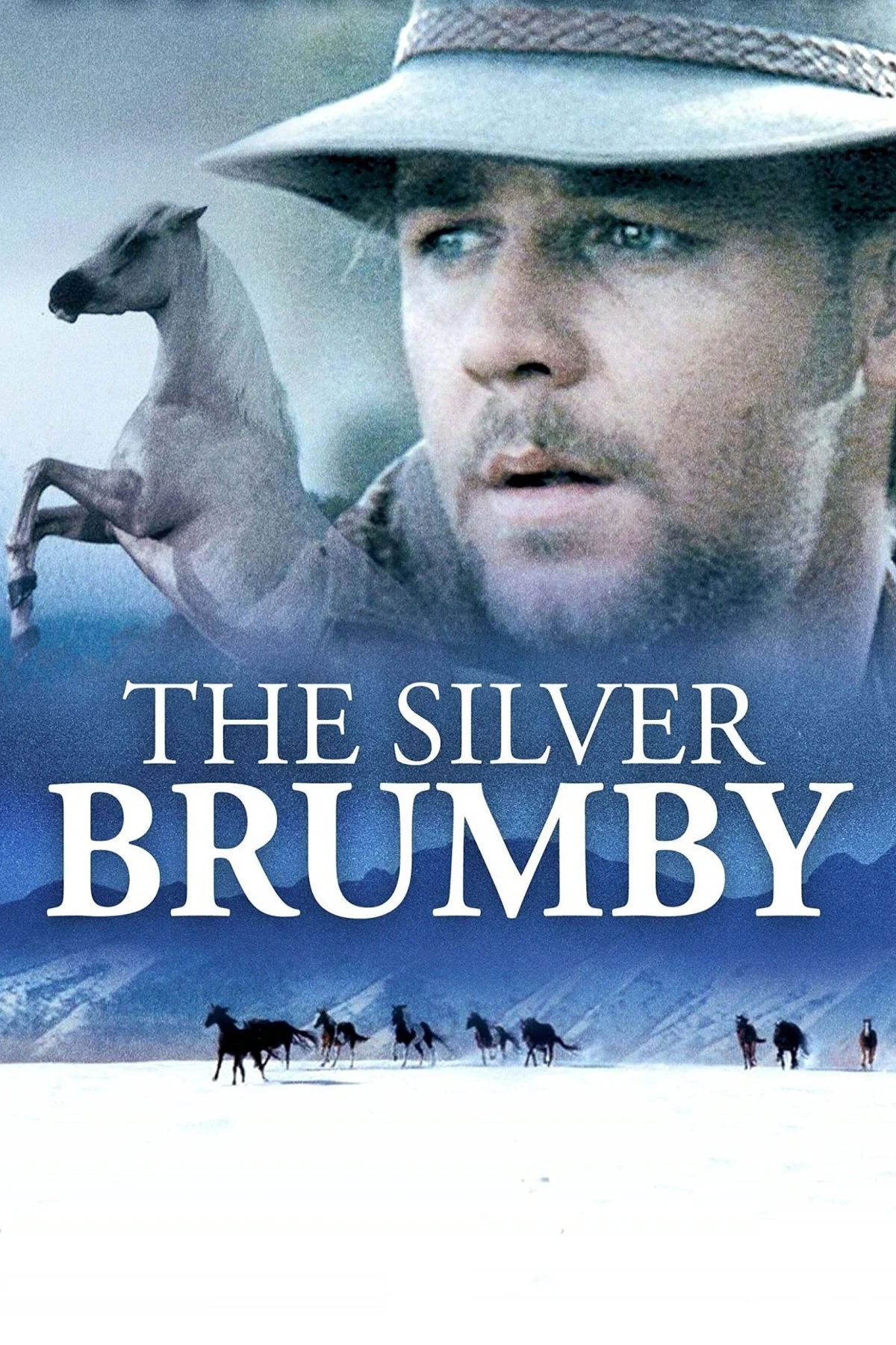 Постер фильма Серебряный ветер